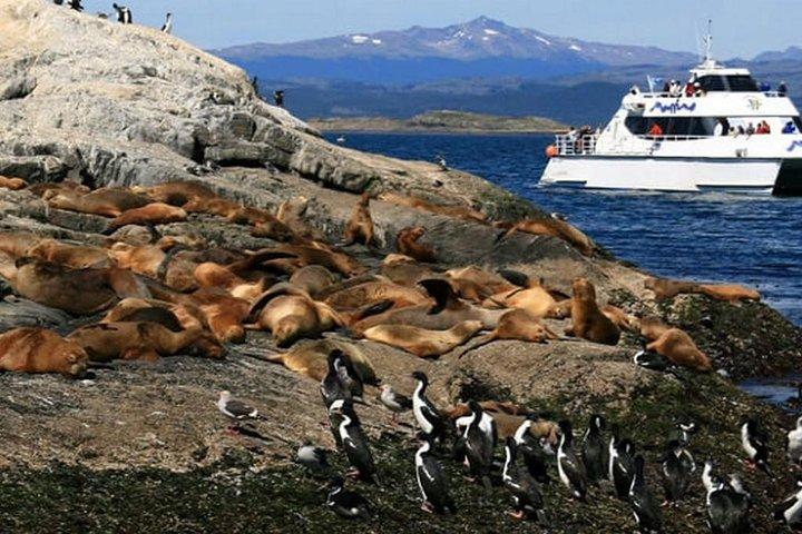 Navigation dans le chenal Beagle - Sea Lions Island