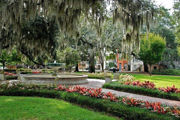 Savannah Land & Sea Combo : Stadtrundfahrt mit Flussbootfahrt