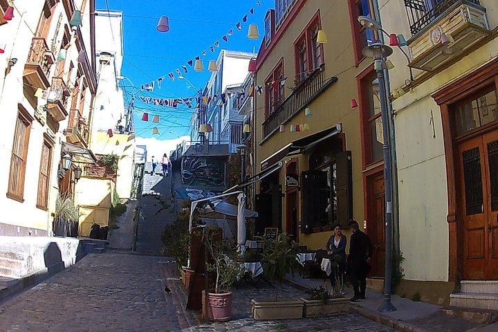 Privat tur: Lunch Valparaíso & Casas del Bosque Winery fra STGO