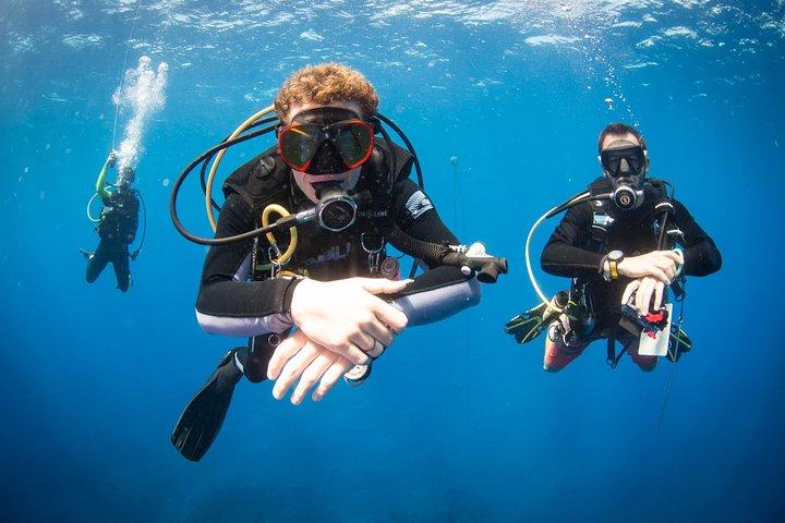 Kauai's Ultimate Discover Scuba Dive - OCEAN EXPERIENCE (1 Flaschentauchgang)