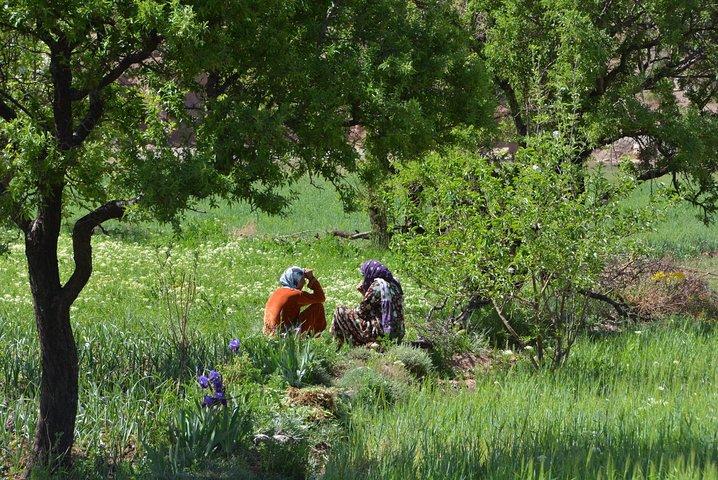 Marrakech : 1-Day Trip to the Ourika Valley