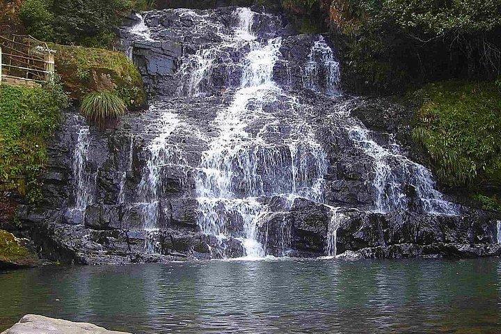 Shillong Day Tour de Guwahati avec déjeuner