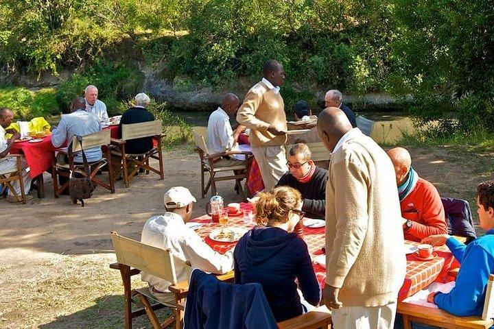 11 tage fastisnation afrika