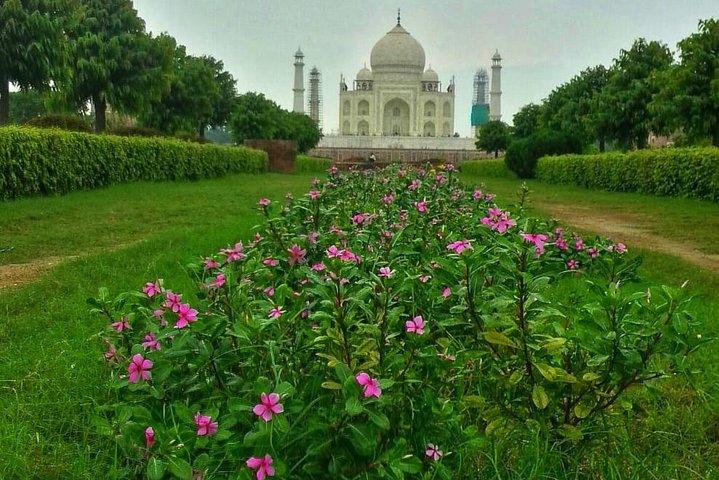 Excursion d'une journée de luxe au Taj Mahal et à Agra au départ de Delhi. Visite privée du Maharaja.