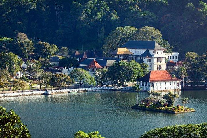 Private Kandy Day Tour by Car from Negombo