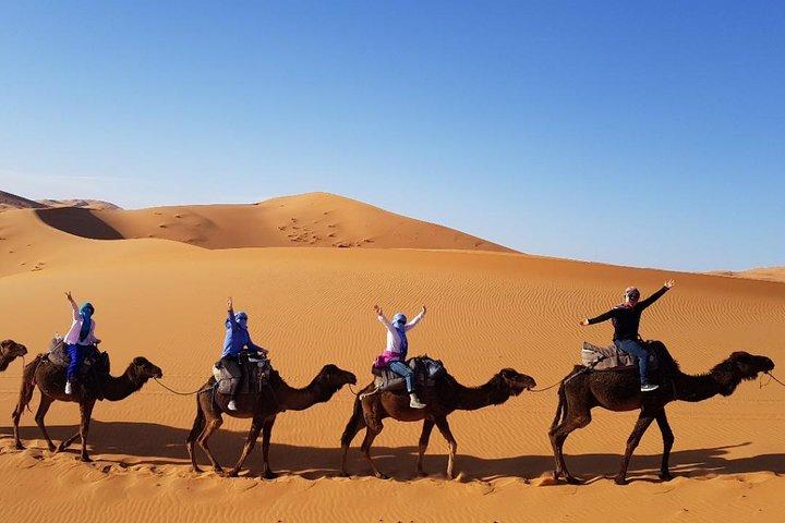 Grupo - Tour de 1 noche por el desierto desde Fez a Marrakech o de regreso a Fez