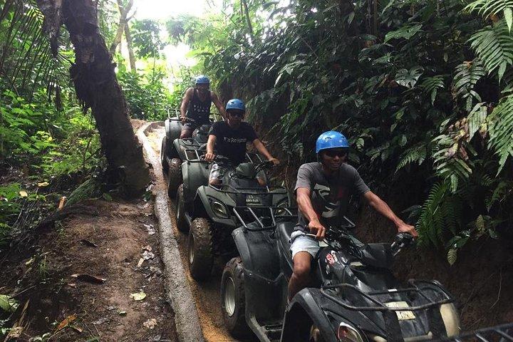 Quad Bali