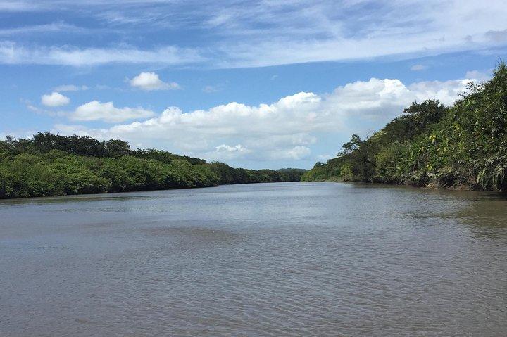 Cruzeiro de safari no Parque Nacional Palo Verde