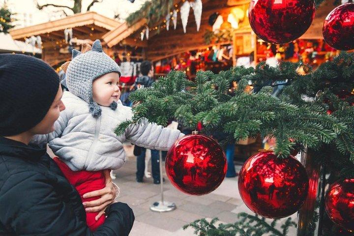 ウィーンからハルシュタットへの小グループクリスマスの日帰り旅行