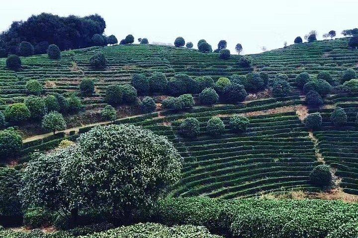 Destaques do tour privado-Yangshuo