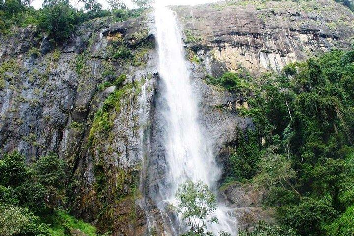 Safari in TukTuk nella piantagione di tè e spezie, punti panoramici, cascate di Diyaluma superiori,