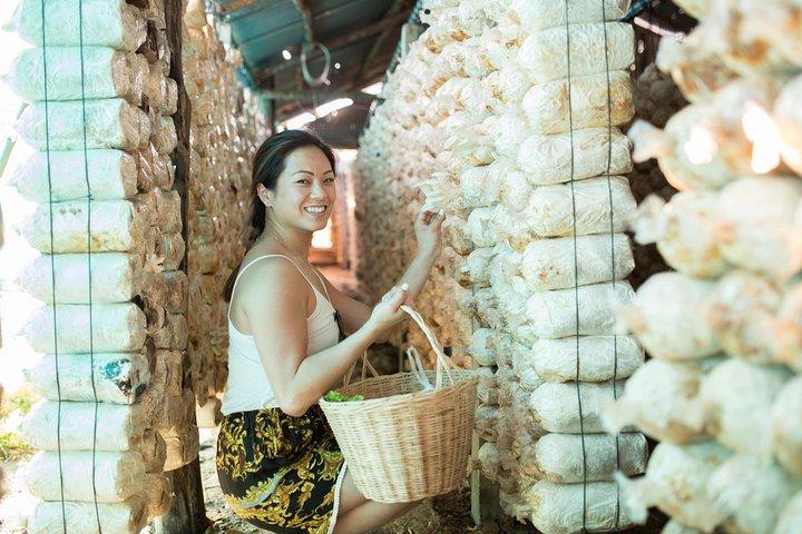 クロンシェムリアップの地元の家でクメール料理教室