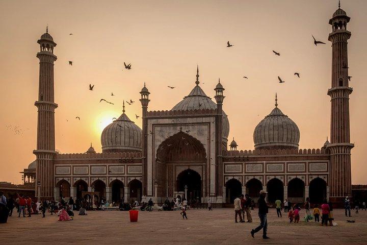 Tour privato della città di Delhi tra cui New Delhi e Old Delhi