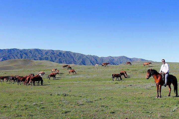 Horse riding adventure in mountains!