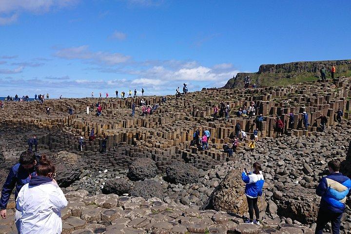 Giants Causeway, Rope Bridge & Dark Hedges Tour From Belfast