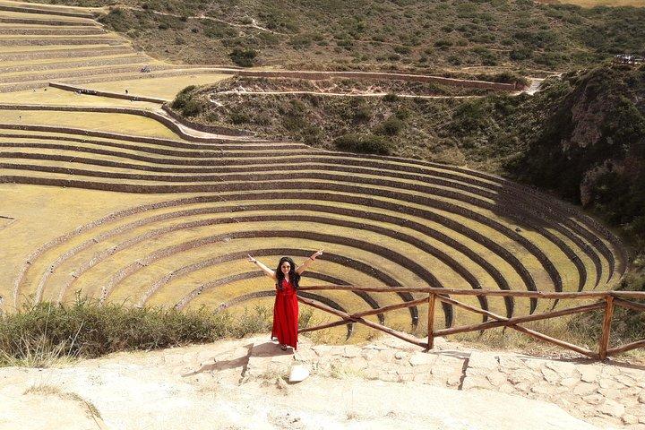 Maras Moray und Salt Mines mit Alpaka Farm Private Tour