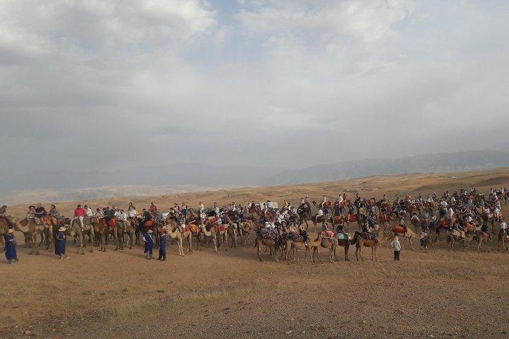 Private Camel Ride in Agafay desert