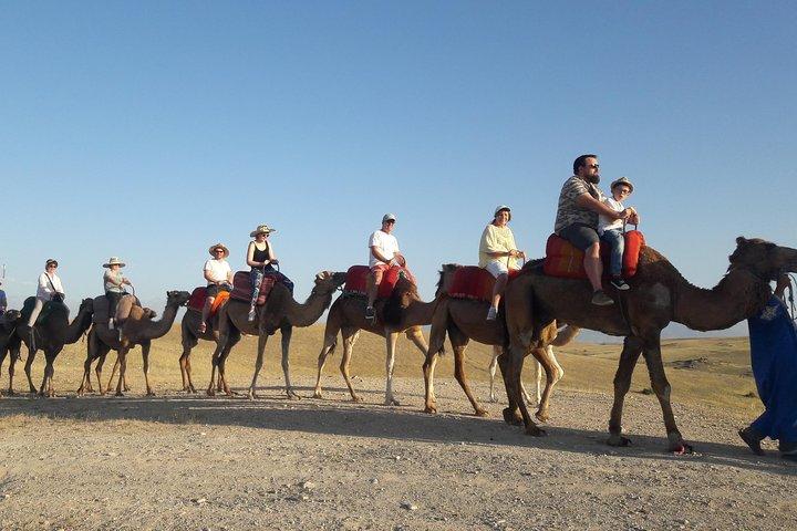 Private Camel Ride in Agafay desert