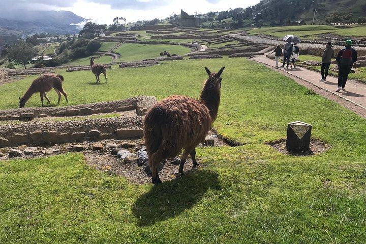 Det bedste af Ingapirca: et eventyr til den ecuadorianske Machu Picchu