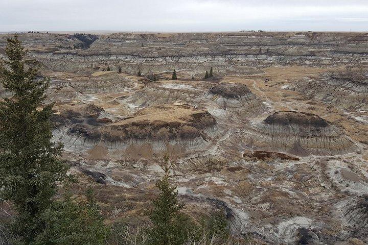 Calgary au Musée royal | Drumheller – VISITE PRIVÉE