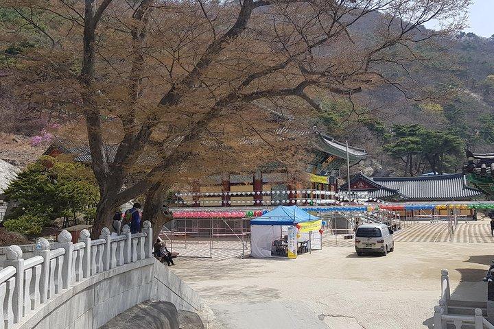 城茂島（寺院）と北朝鮮展望台プライベート旅行＋キムチレッスン