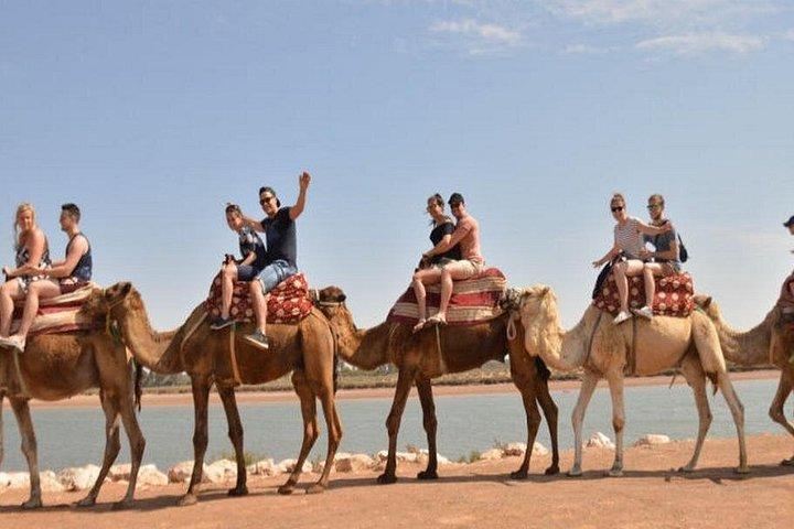 Sunset Camel Trek & BBQ Experience from Agadir