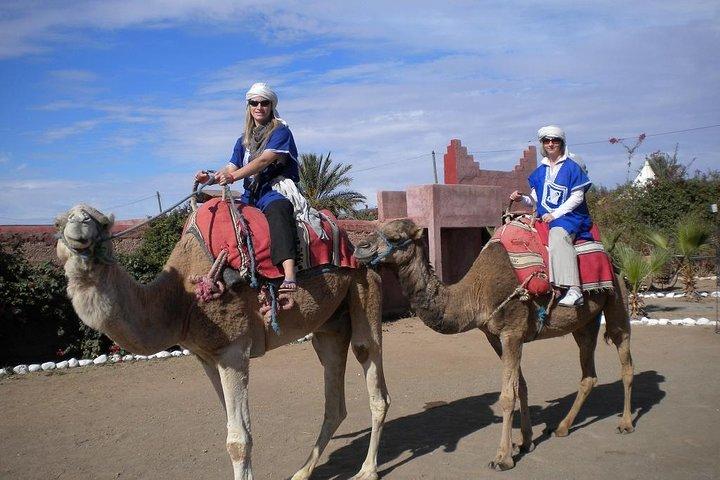 Half Day Marrakech Camel Safari