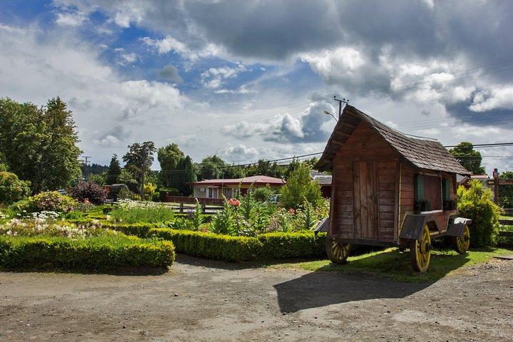 Excursión a Frutillar