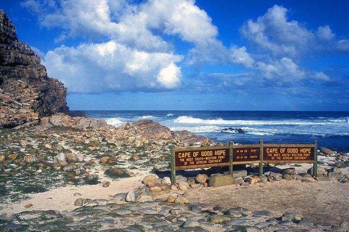 Taffelbjerget-vine-pingviner-Cape Point All Inclusive grupperejse