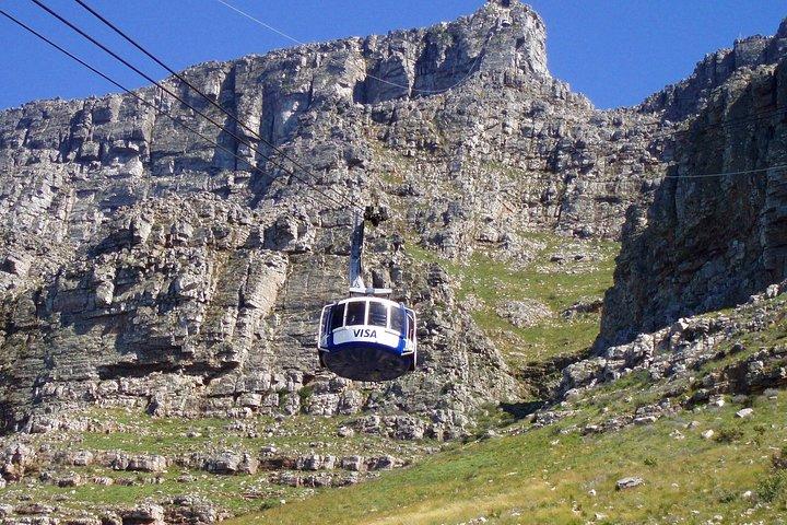 Taffelbjerget-vine-pingviner-Cape Point All Inclusive grupperejse