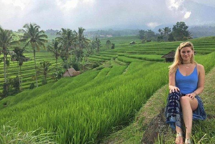 Excursão privada de dia inteiro Jatiluwih Rice Terrace e Tanah Lot Temple