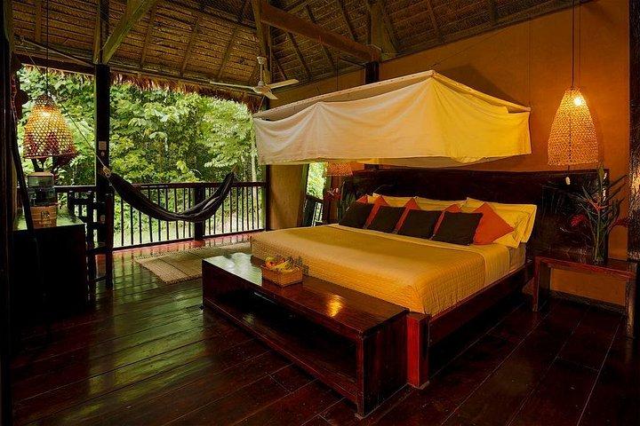 3-Day Tambopata Amazon Jungle Tour at Posada Amazonas