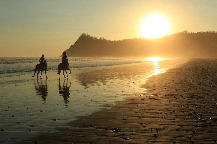 Safari & Buenavista Beach Horse Riding Tour
