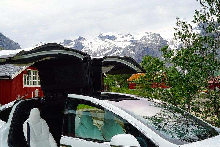 Fjord Sightseeing - Eco Tesla Model X