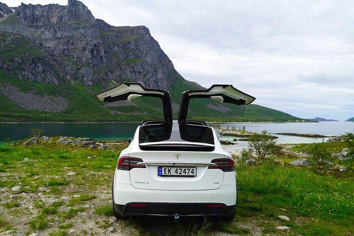 Fjord Sightseeing - Eco Tesla Model X