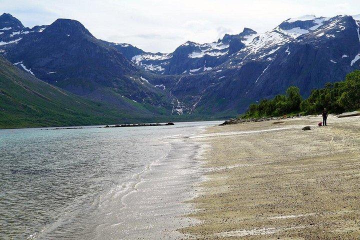 Fjord Sightseeing - Eco friendly Tesla Model X