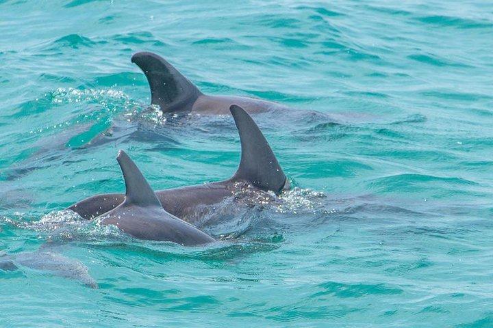 Sian Ka'an Adventure Volledige dagtrip naar Punta Allen