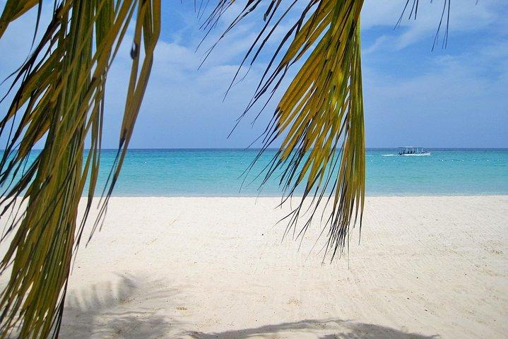 Negril Beach y Ricks Cafe de Montego Bay