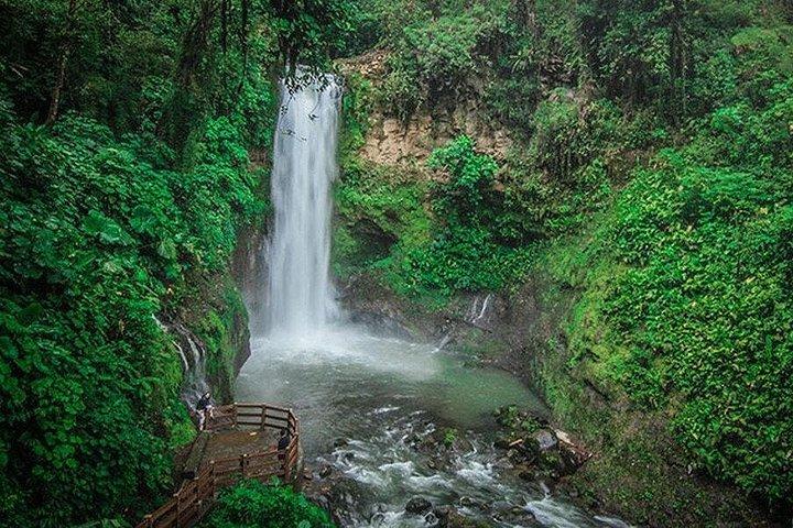 Jardins das Cataratas de La Paz. Excursão privada de San Jose