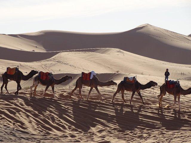 3 days tour from Marrakech to Merzouga