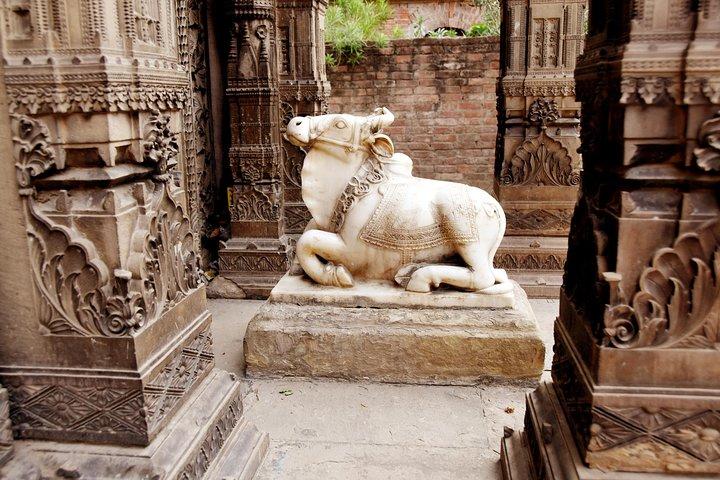 Pellegrinaggio Varanasi