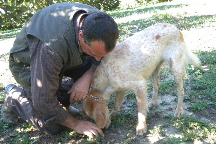 Truffle Hunt & Wine Tasting
