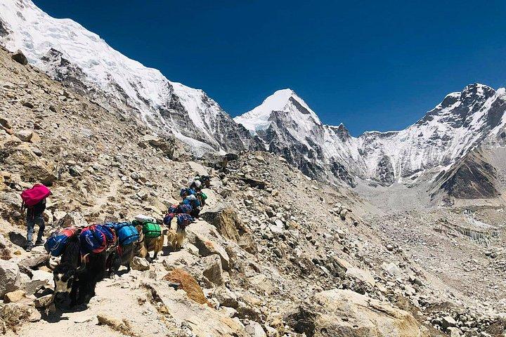 Everest Base Camp Trek