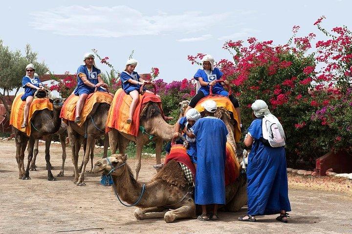 Half Day Marrakech Camel Safari