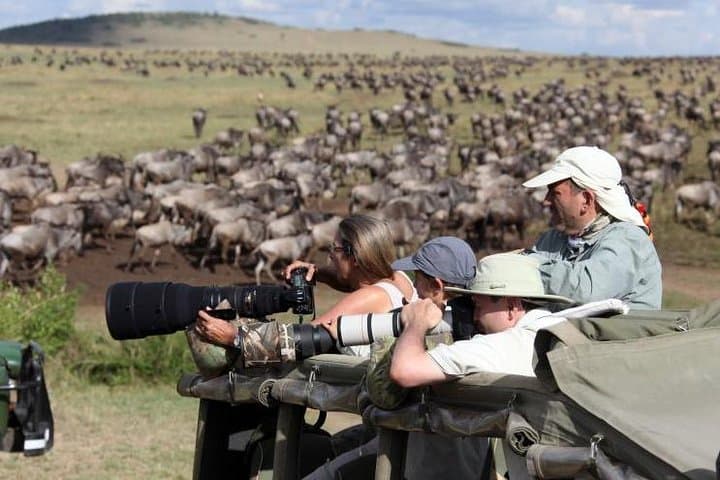 3 Days safari in Masai Mara Budget or Luxury Tour Package