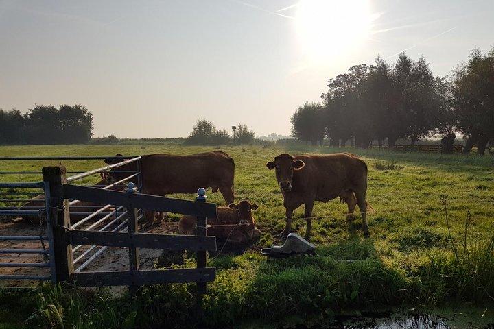 Visite privée de Zaanse Schans et Volendam – sabots, fromage et plus encore