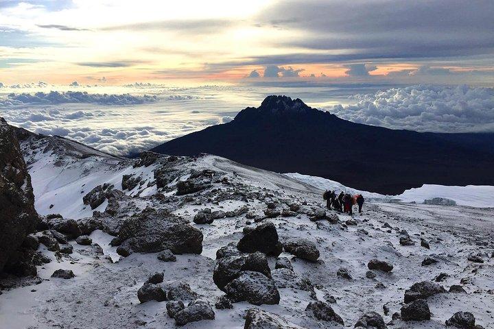Kilimanjaro-beklimming, Rongai-route (7-daagse)