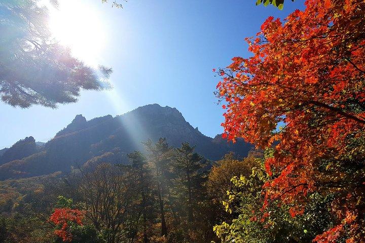 プライベート英語を話すドライバー：ソウルから雪岳山と東海または南怡島