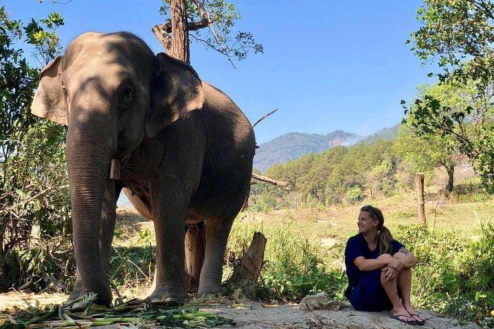 3-en-1 : visite de Doi Inthanon, sanctuaire des éléphants et sentier de randonnée