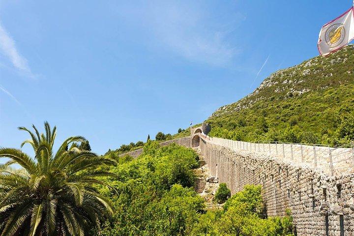 Ston och Pelješac privat guidad tur från Dubrovnik